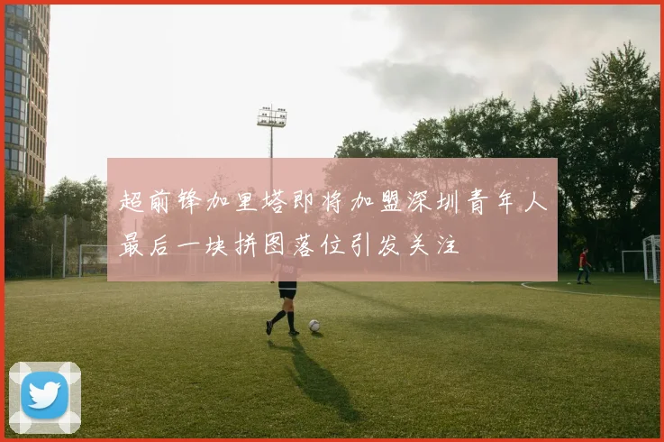 超前锋加里塔即将加盟深圳青年人最后一块拼图落位引发关注